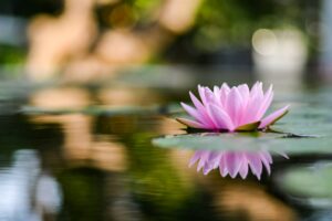 What is feng shui, Chinese Culture? And its impact on our lives