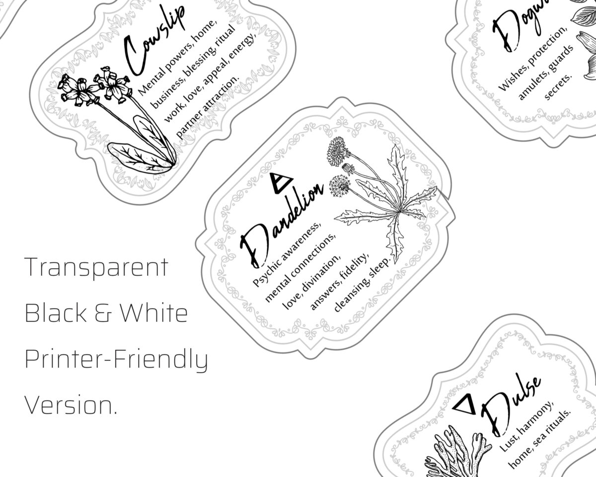 Transparent witchcraft labels and stickers with herb name, illustration, & magickal intent. Great for printing on transparent vinyl.