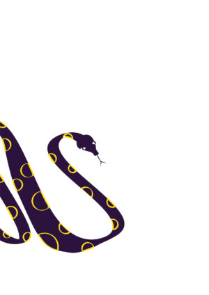 Chinese Zodiac_Snake