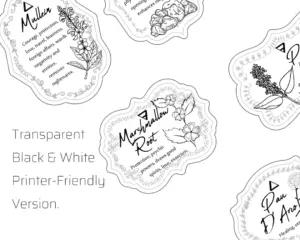 Herb & Spices v2 Apothecary Label Set 49 Printable