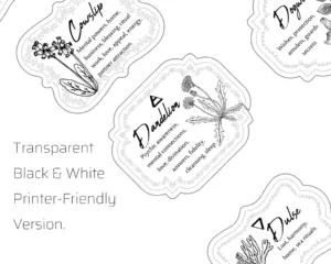 Herb & Spices v4 Apothecary Label Set 54 Printable