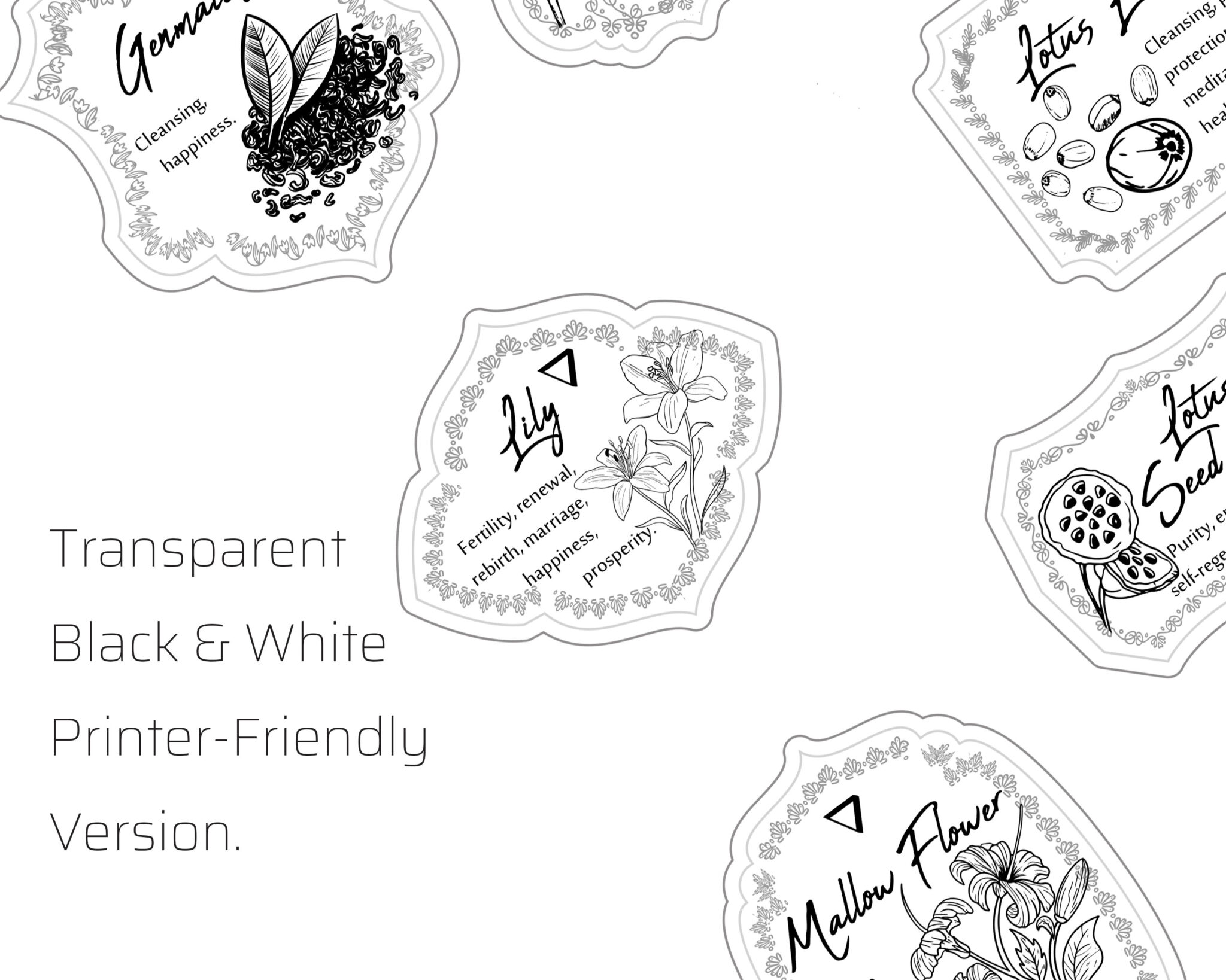 Transparent Apothecary Jar Labels