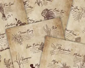Herbs & Spices for magickal potions and spells