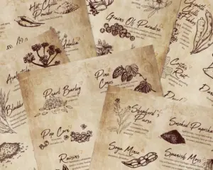 Herbs & Spices Correspondences