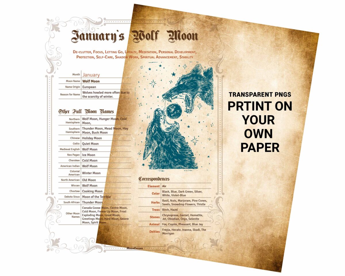 Moon Phases Properties Pack full color transparent PNGs let you print on your own paper.