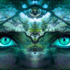 Power Of The Mind Over The Body Visualization For Healing Or To Lose Weight
