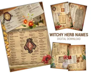 Witchy Herbs Names & Meanings for your book of shadows