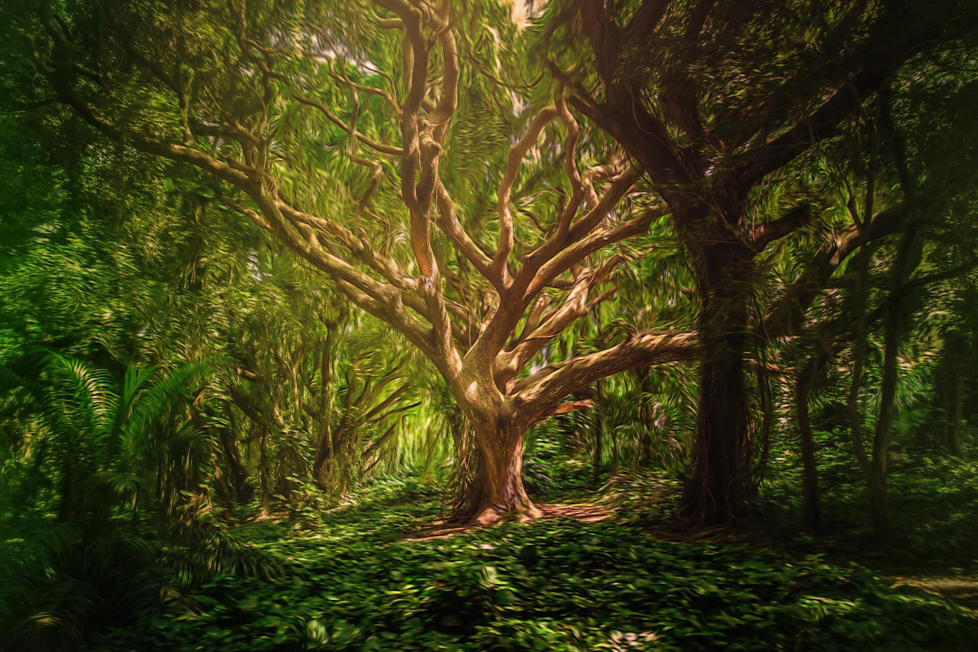 Witchcraft beliefs and key principals - Witchcraft is a diverse tradition that encompasses a wide range of beliefs and practices.